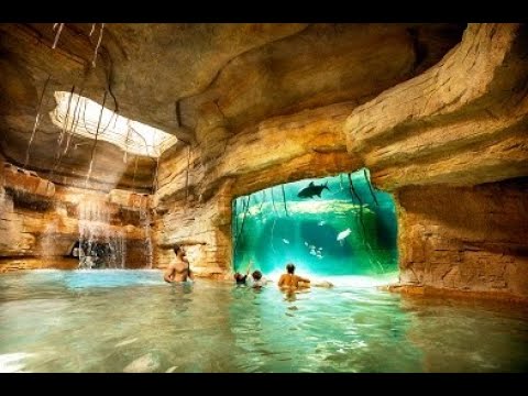 The Abyss ends at The Secret Cenote - Atlantis Bahamas